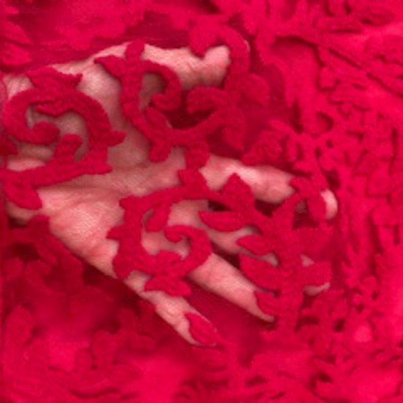 Tadashi Shoji Red Embroidered Cocktail Dress, V-neck, Bodycon, Holiday - Picture 10 of 11